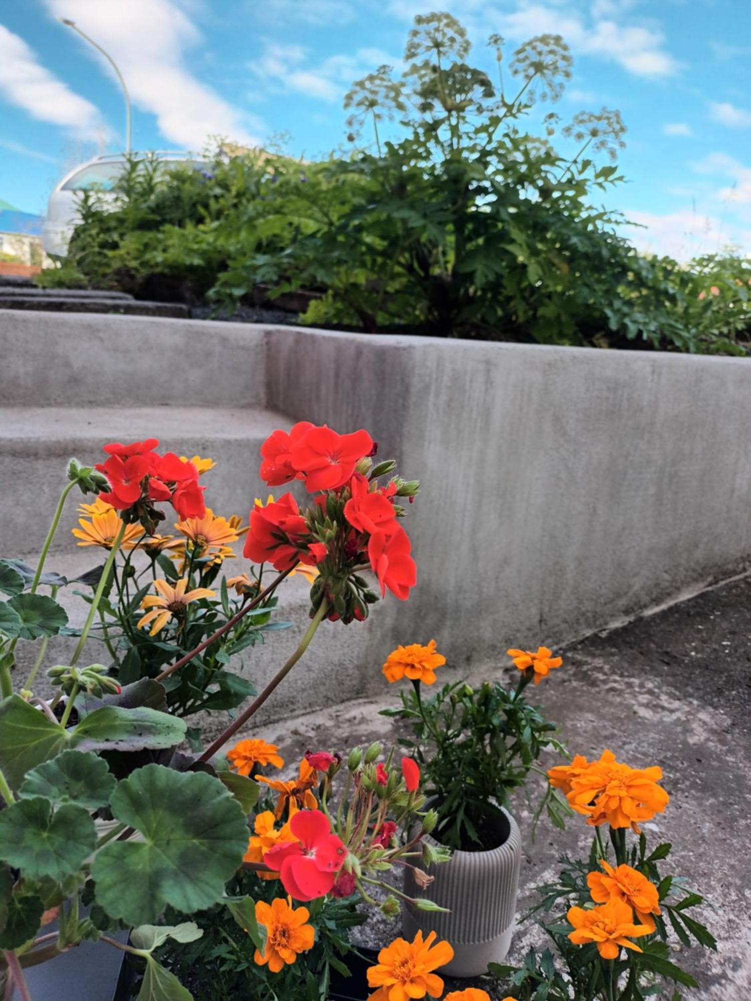 Lara Studio In Laugardalur Valley, Reykjavik Central Park And Botanical Garden, Private Entrance, Free Private Parking On Side Esterno foto