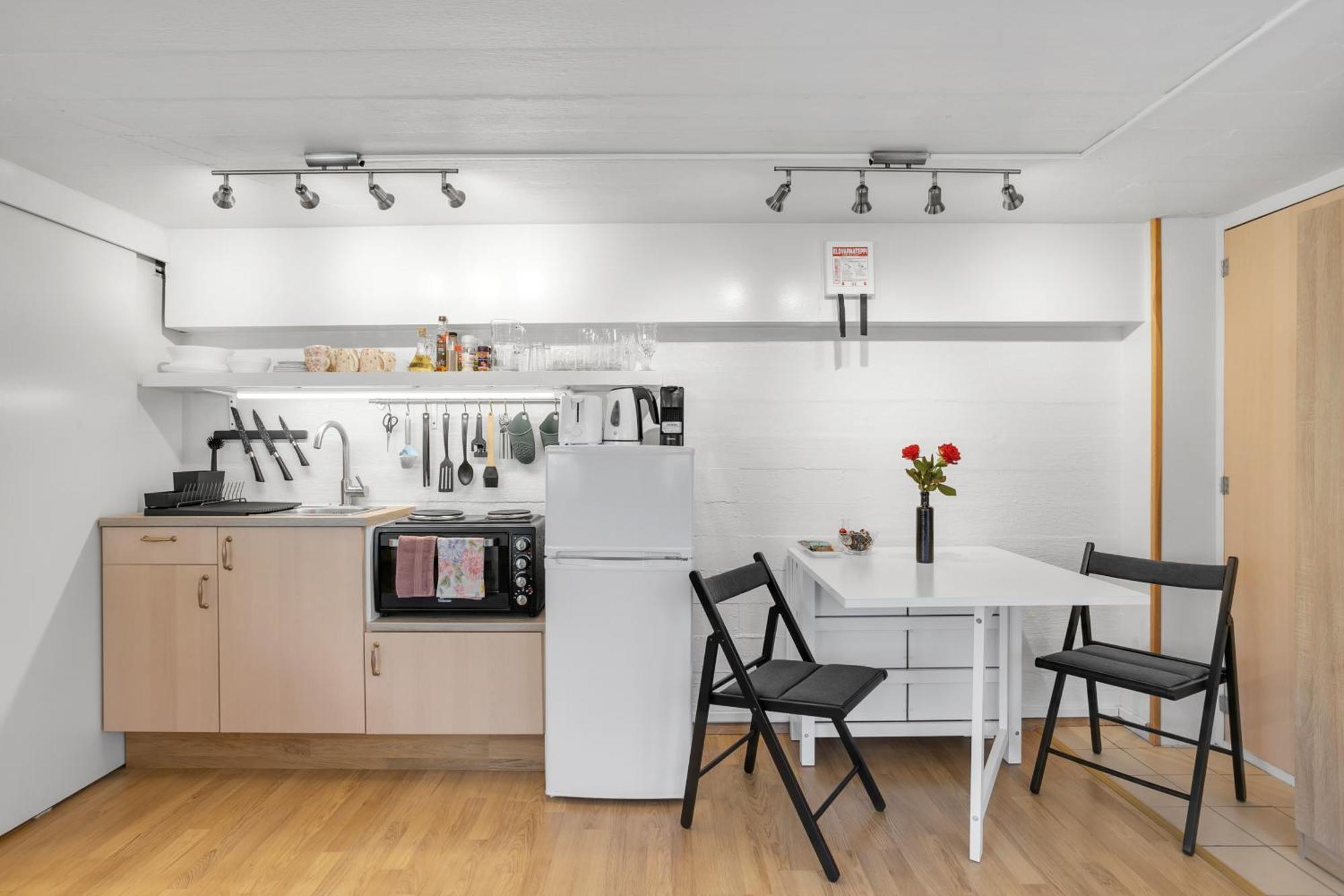Lara Studio In Laugardalur Valley, Reykjavik Central Park And Botanical Garden, Private Entrance, Free Private Parking On Side Esterno foto