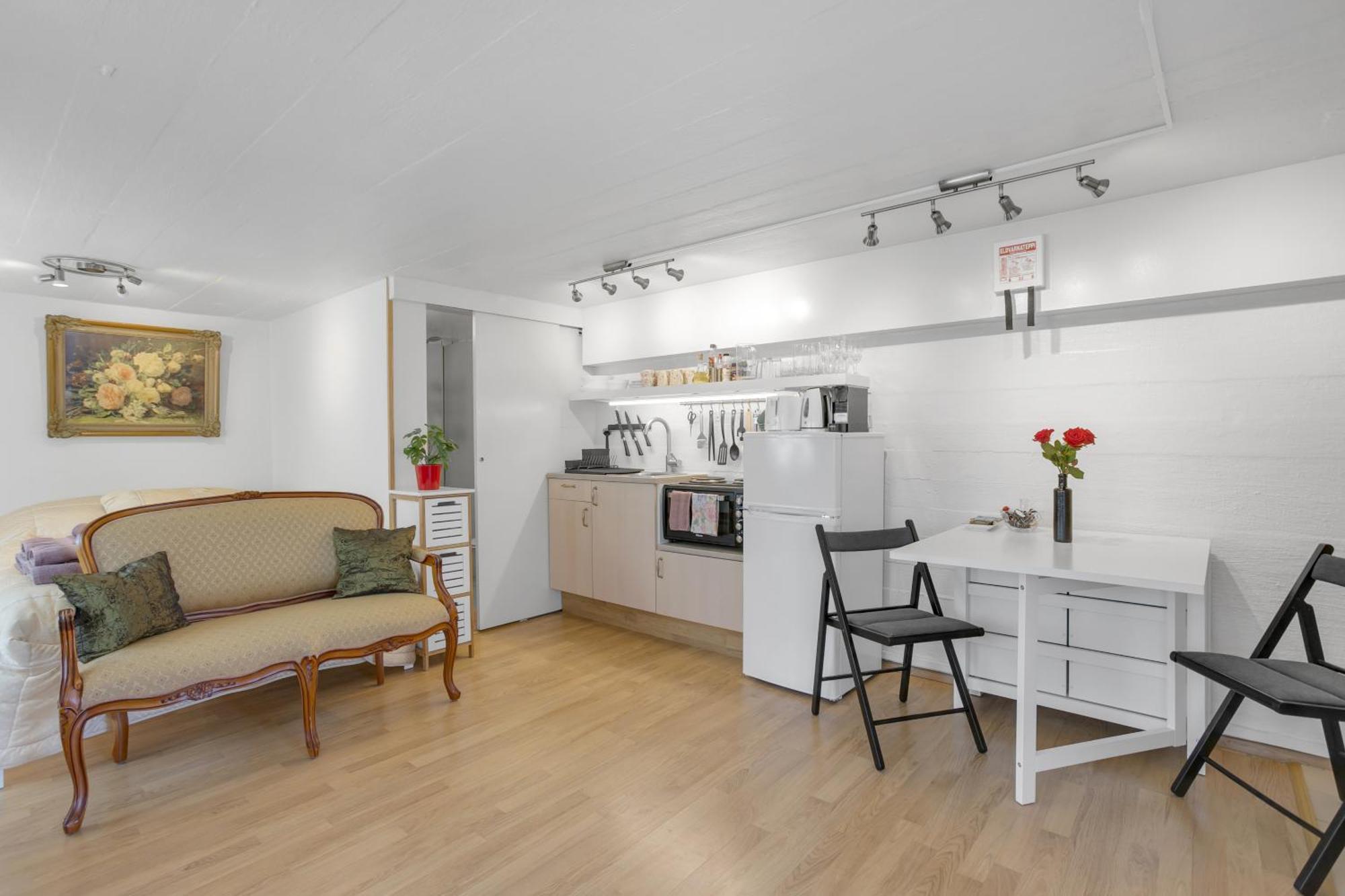 Lara Studio In Laugardalur Valley, Reykjavik Central Park And Botanical Garden, Private Entrance, Free Private Parking On Side Esterno foto